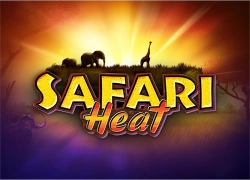 safari